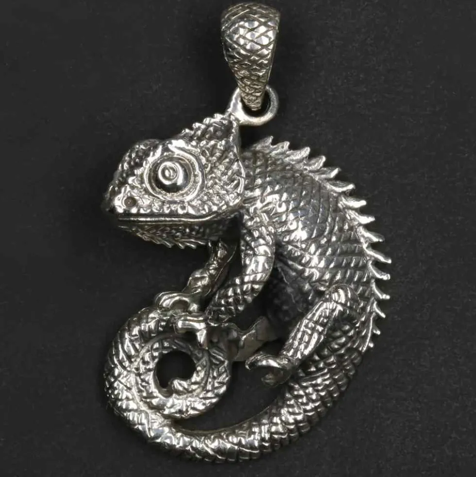 Chamäleon Schmuck Anhänger 925 Silber