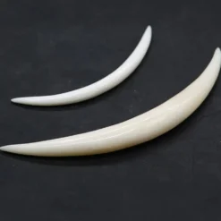 Dehnungssichel Ohrpiercing Knochen Stärke 4 - 8mm