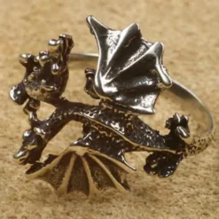 Drachen Ring Schmuck Silber kämpfende Drachen 925 Silber