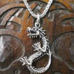 Drache Schmuck Anhänger aus Silber Knochen Drache