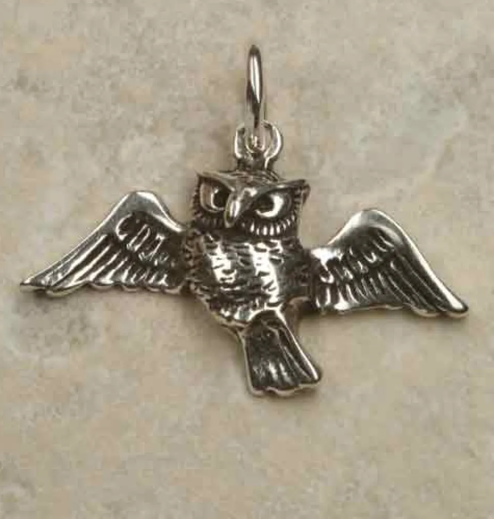 Eule fliegend Schmuck Kettenanhänger 925 Silber