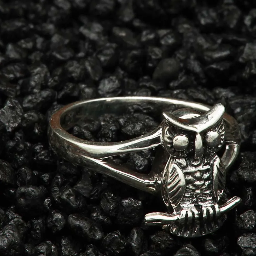 Eule Ring mit Fach Giftring Eulen Schmuck 925 Silber Damen