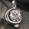Eule Schmuck Anhänger Silber 925/000 Eule im Mond