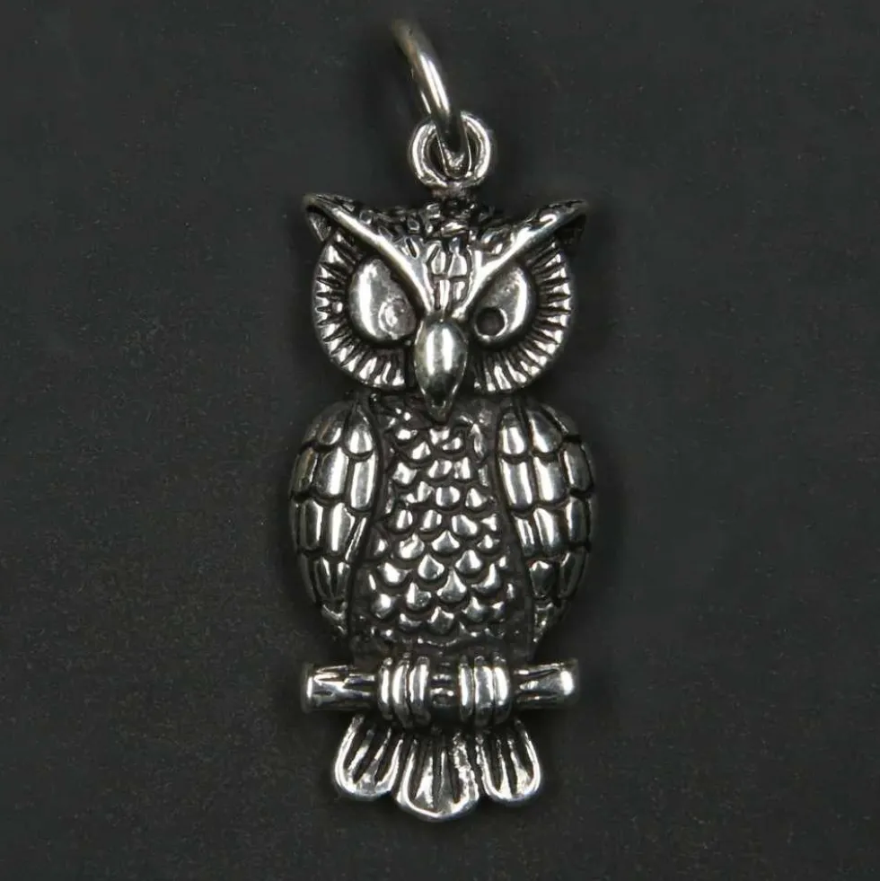 Eule Schmuck Anhänger 925 Silber Tiersymbol