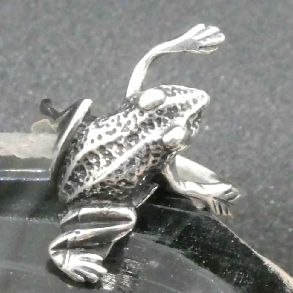 Feiner Frosch Ring Silber Schmuck Silbering 925 Silber