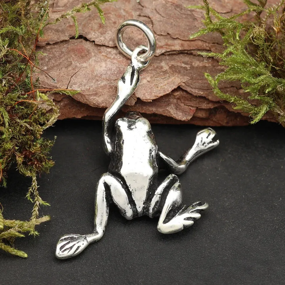Frosch Kettenanhänger Schmuck 925 Silber Anhänger
