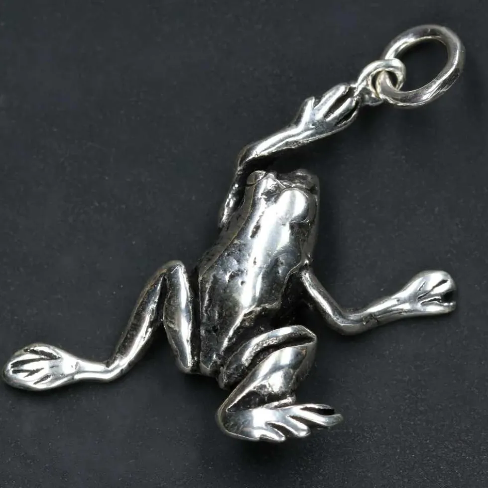 Frosch Kettenanhänger Schmuck 925 Silber Anhänger