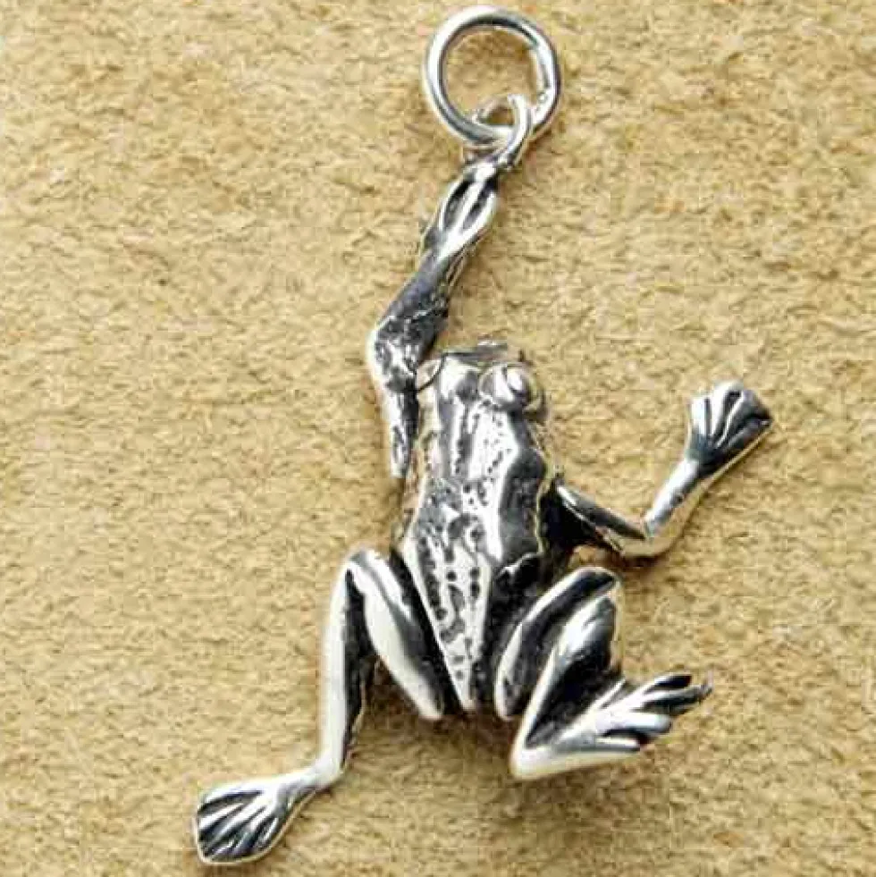 Frosch Kettenanhänger Schmuck 925 Silber Anhänger