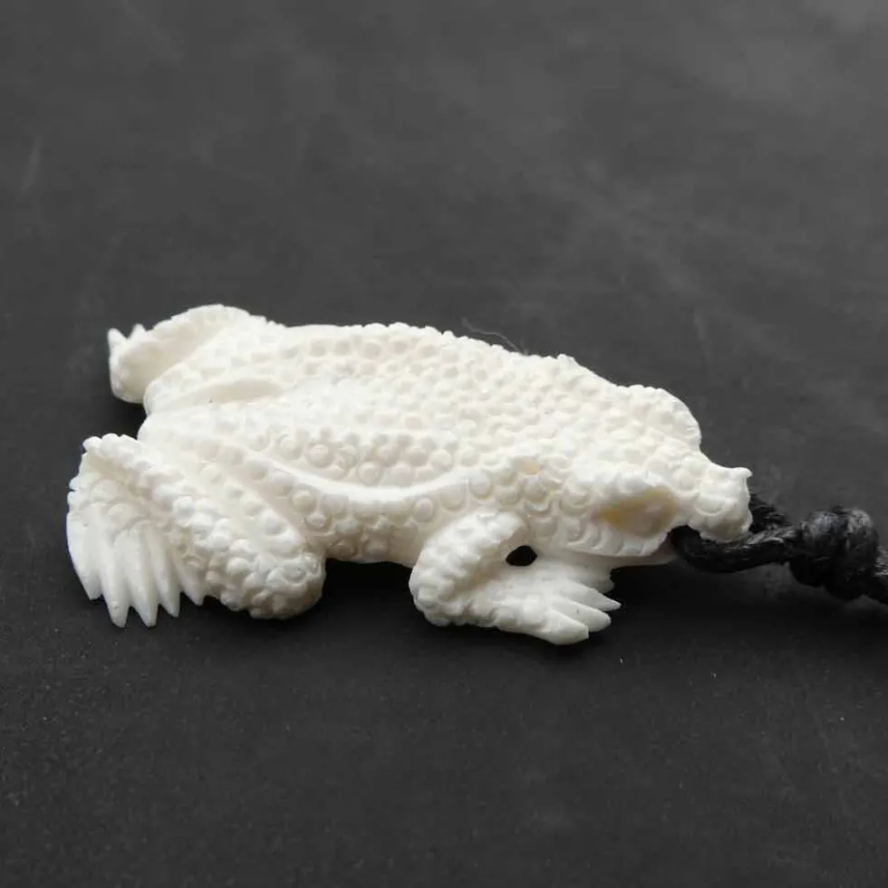 Frosch Schmuck Anhänger aus Knochen Kette