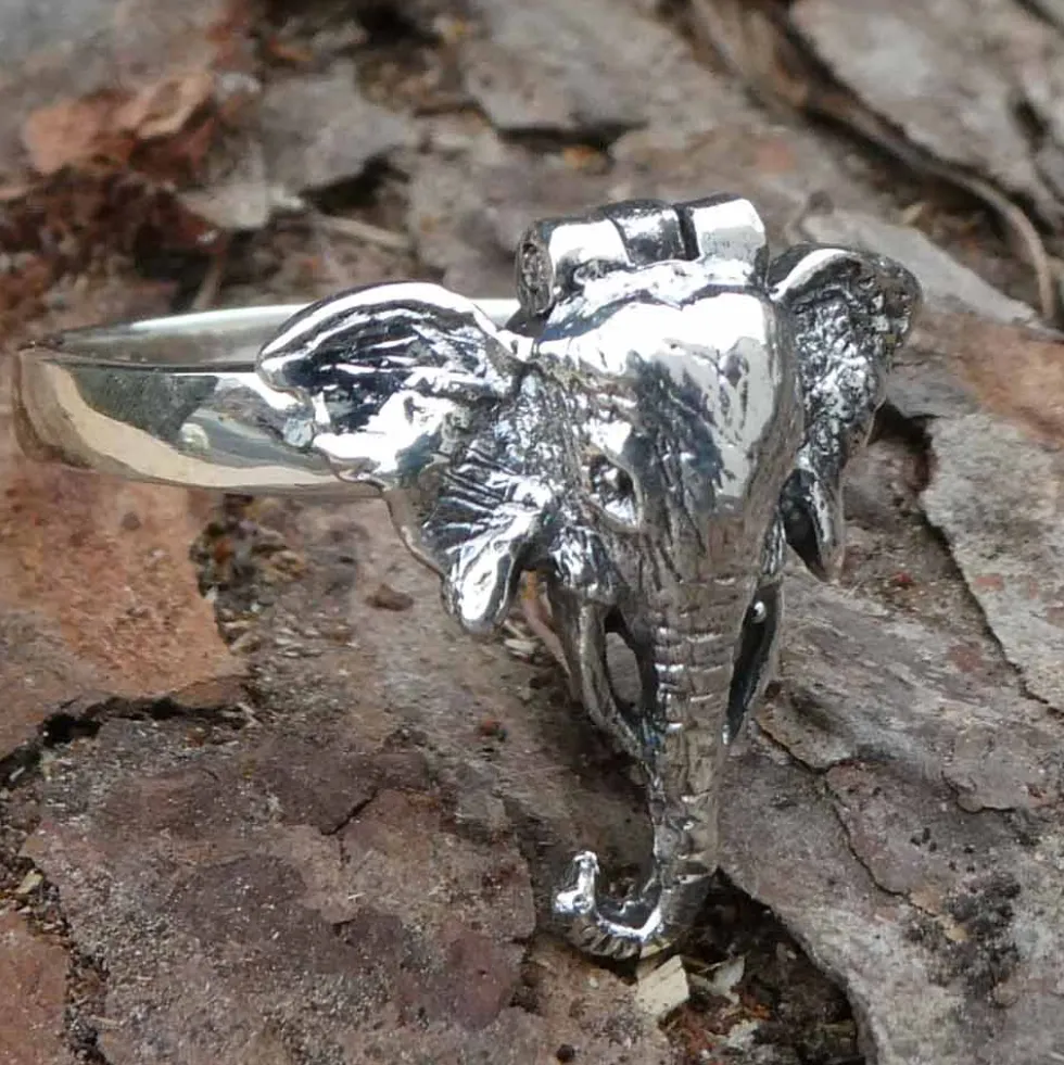 Giftring Elefant Ring mit Fach Silber Schmuck 925 Silber