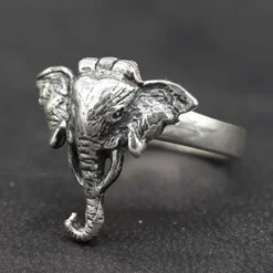 Giftring Elefant Ring mit Fach Silber Schmuck 925 Silber