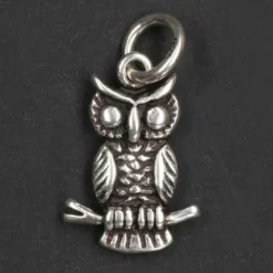 kleine Eule Schmuck Kettenanhänger 925 Silber