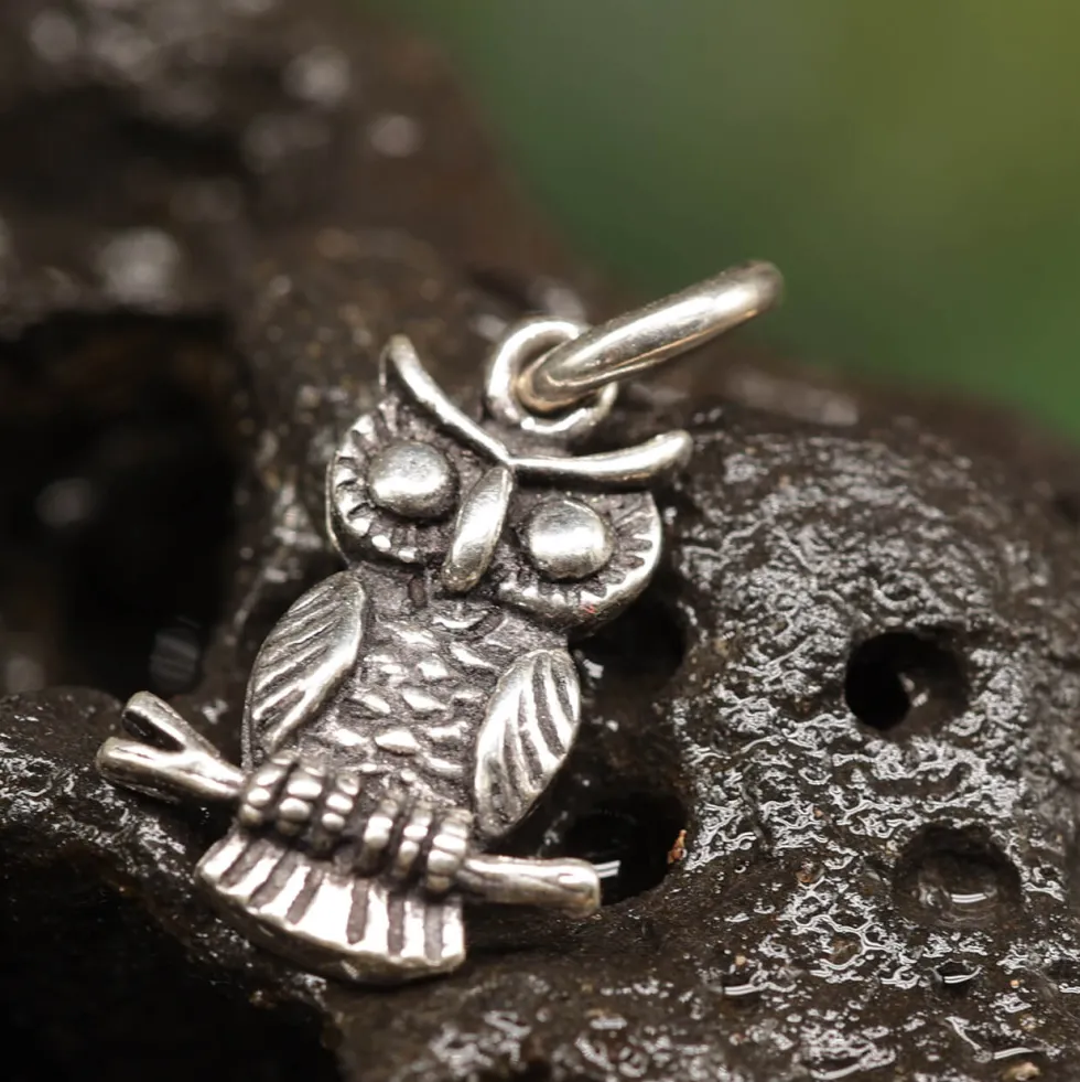 kleine Eule Schmuck Kettenanhänger 925 Silber