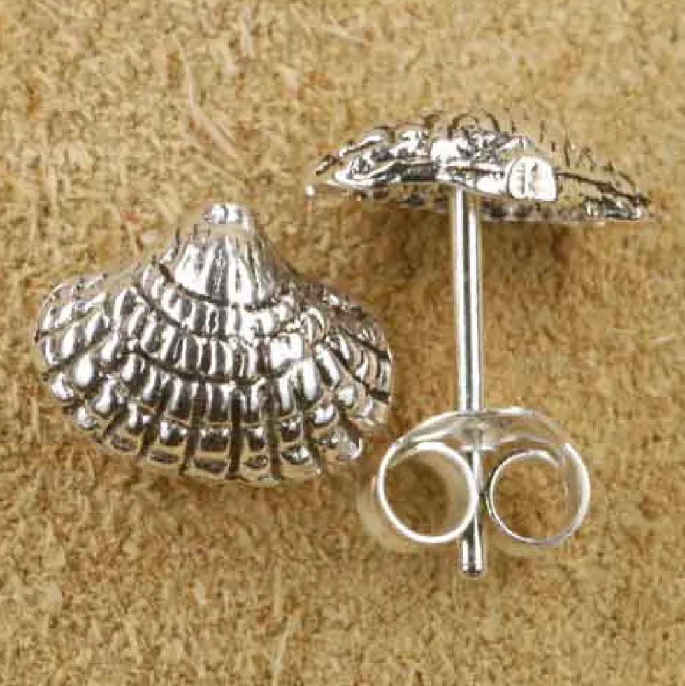 Muschel Ohrstecker 7 x 10mm Sterlingsilber Ohrschmuck