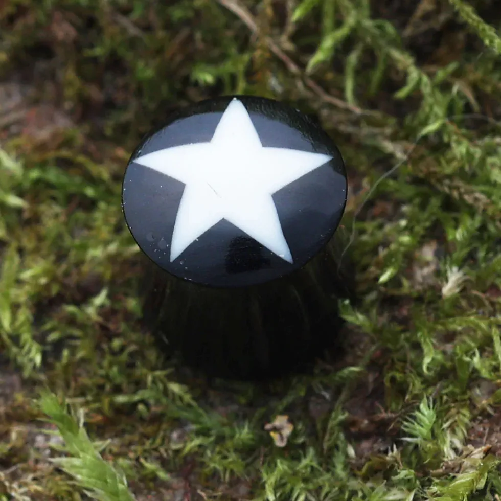 Plug Horn mit Stern weiß Piercing Ohr