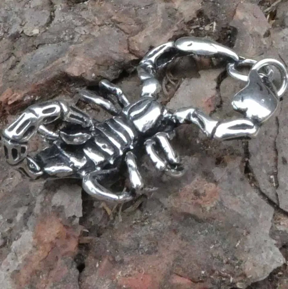 Riesiger Skorpion 925 Silber Schmuck Anhänger Scorpion