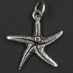 Seestern Schmuck Kettenanhänger Silberschmuck 925 Silber