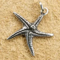 Seestern Schmuck Kettenanhänger Silberschmuck 925 Silber