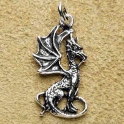 süßer kleiner Drache 925 Silberschmuck Anhänger