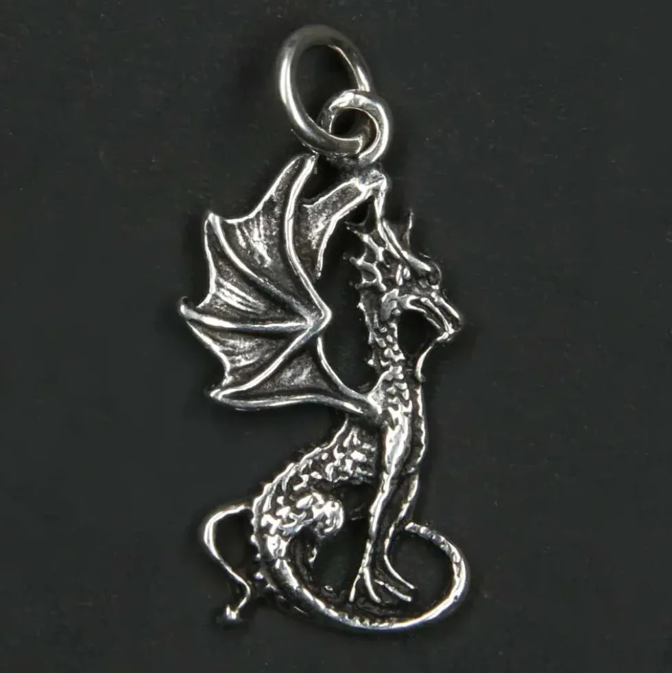 süßer kleiner Drache 925 Silberschmuck Anhänger