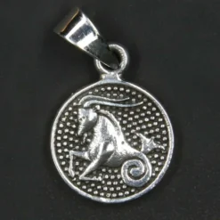 Steinbock Schmuck Astrologie Sternzeichen 925 Silber Anhänger Schmuck