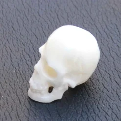 Totenkopf Haarschmuck Knochen Bartperle 1,8cm Farbe natur Bartschmuck