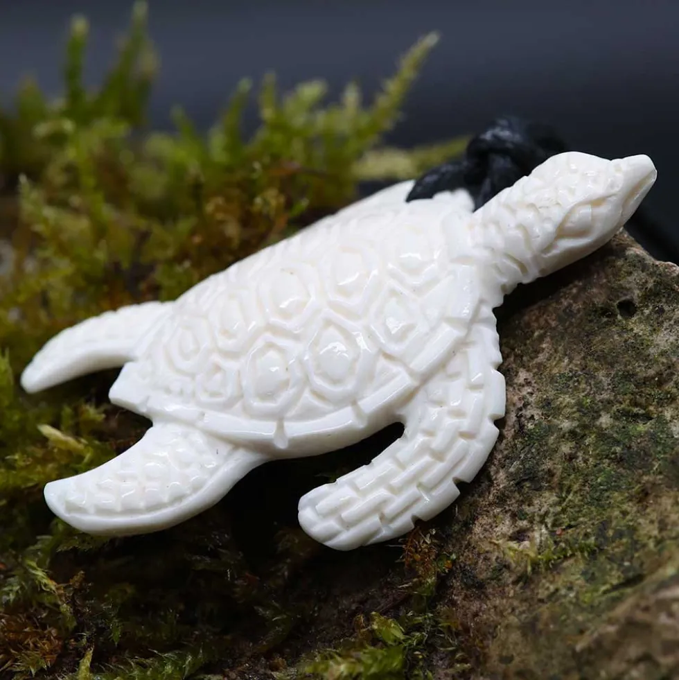 Wasserschildkröte Schmuck aus Knochen Kette
